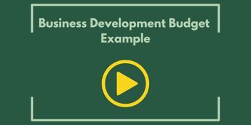 Business Development Budget Example