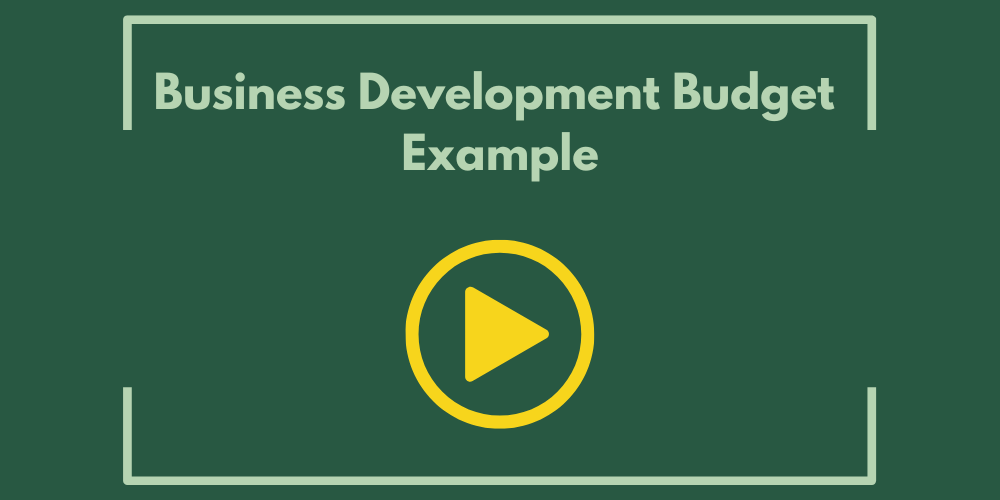 Business Development Budget Example